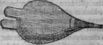 Bee-Hives-13