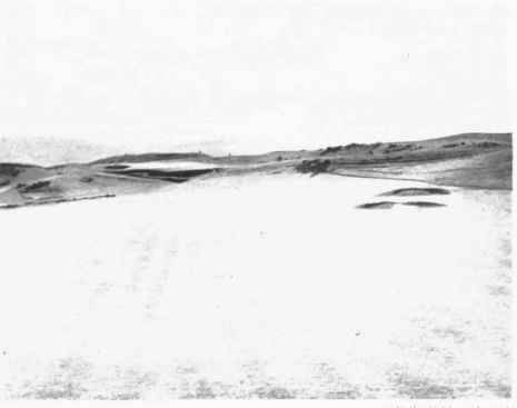 The King s Course 25