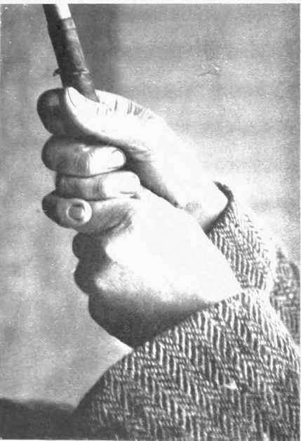TAYLOR'S GRIP