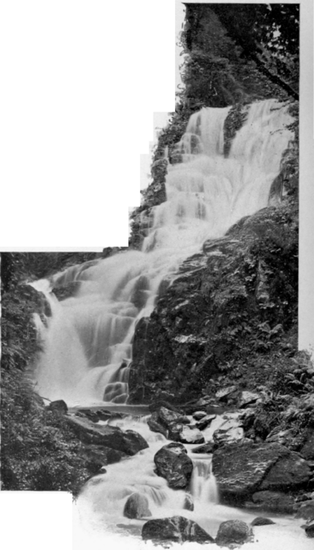 An UNFETTERED Stream, Love Waterfall, Killarney.