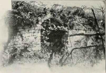 A Bit Of Old Fortification On Isola Comacina.