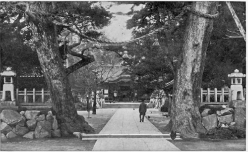 Centenarian Trees