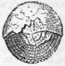 Distribution Of Foraminifera In Time 20