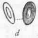 Fig. 245.   Blood corpuscles of Vertebrata. a Red blood discs of man; b Blood discs of Goose; c Crocodile; d Frog; e Skate.