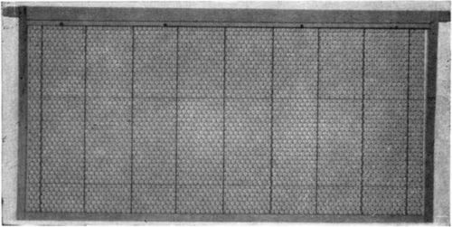A frame with wired foundation. The wooden portion on the outside is the frame, the center portion the wax foundation. Notice the crimped wire in the foundation which adds strength to the finished bee comb.