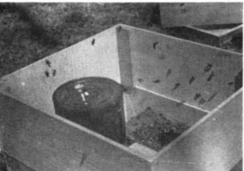 After the feeder and the oilcloth are in place, put the feeder shell on top of the hive. This feeder shell may be two empty supers or a specially constructed rim such as the one shown in the picture.