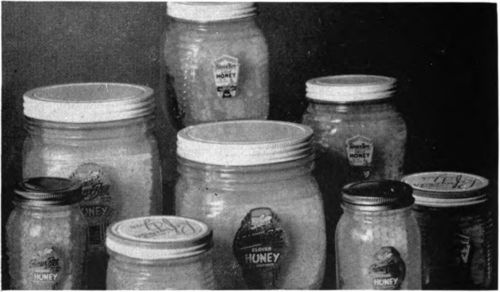 Chunk honey packed in a jar is a fancy honey. The beekeeper should always be sure that the finished product is neat, clean, and attractive. The comb should be white and free from pollen or stains and the liquid honey should be clean and clear.