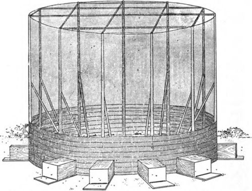 A tent of mosquito netting was built by J. S. Davitte for mating queens under controlled conditions.