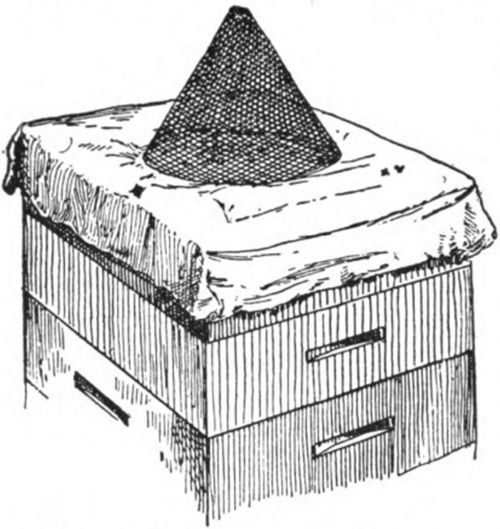 Dr. C. C. Miller's tent escape was made of mosquito netting supported by V shaped wires.