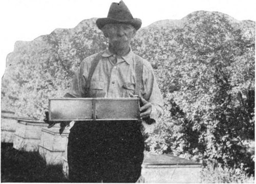F. C. Bennett, who sold $150 worth of comb honey from one hive, started a boom for beekeeping in North Dakota.