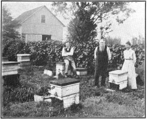 G. M. Doolittle (center) in apiary which became the center of world wide interest among the beekeepers through his writings for the bee press.