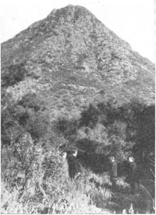Harbison Mountain in San Diego County, California, near which Harbison had large apiaries in the early days.