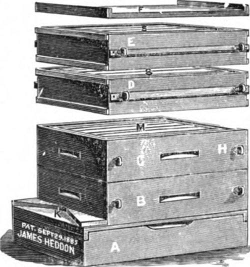 Heddon announced completion of his divisible brood chamber hive in 1885.