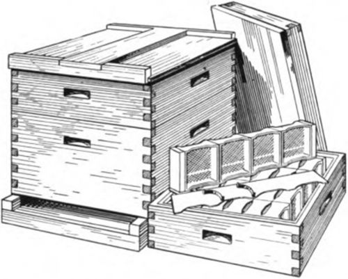 Langstroth comb honey hive as finally commonly adopted.