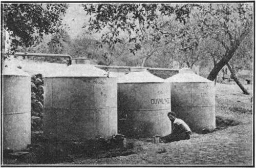 Storage tanks for holding the large crops of honey produced in the Mendelson apiaries.