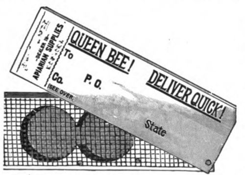 The Benton cage is still the one most commonly used.