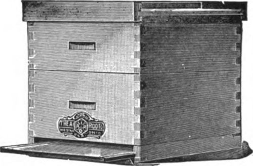 The Danzenbaker hive, first offered in 1895, had a large sale for a few years.