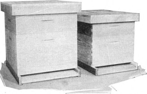 The Modified Dadant hive (left) retained the deep frame and wider spacing of combs of the old Dadant hive, while adopting the length of the Langstroth (right).
