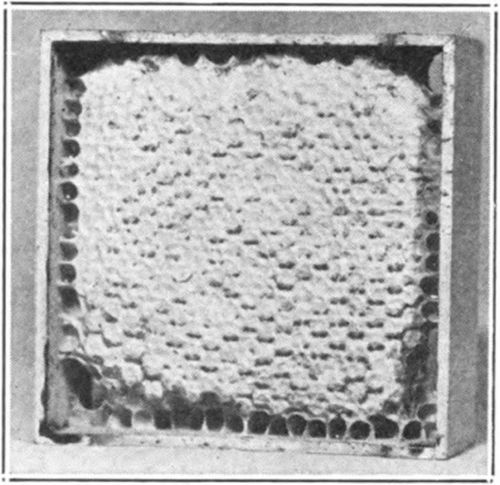 With the general adoption of comb honey in sections the tendency was more and more toward small hives.