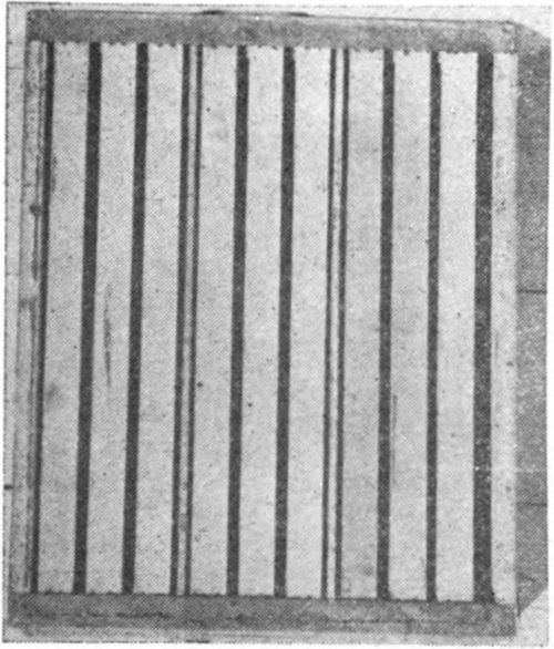 Left, the bottomside of a shallow super for three 3 frame nuclei (instead of four 2 frame as suggested in text). Either is satisfactory, although 2 frame divisions give four queens to the hive body, instead of three. In this super the frames rest on tin strips as in the T super.