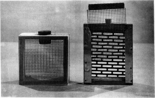 A, Drone collecting cage; and B, drone maturing cage.