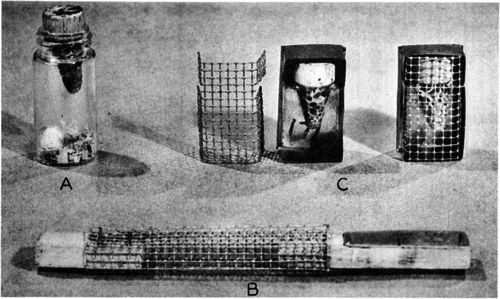 Containers used in queen handling:. 4, Vial used for queen emergence in an incubator; B, cage for holding queens individually in nuclei; and C, cage used for queen emergence in an incubator and for emergence or storage in nursery colonies.