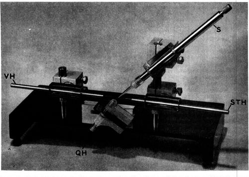 Manipulating apparatus viewed from operator's side: QH, queen holder; S, syringe; STH, sting hook; and VH, ventral hook.