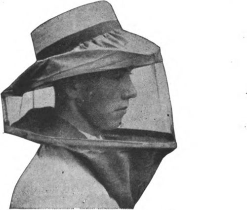 A good veil is essential for protection from stings.