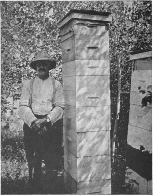 A yield of 200 or more pounds of surplus honey is not unusual in a good location.