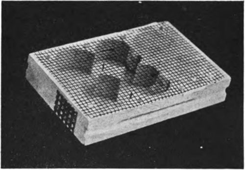 Cage for shipping queens.