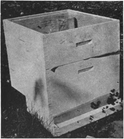 Feeder in place in empty super. In cold weather syrup should be placed directly over cluster.