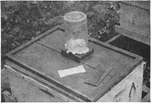 Feeding with fruit jar in top of hive used for queen rearing.