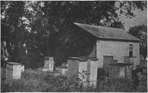 Small honey house built in sections to facilitate moving when necessary.