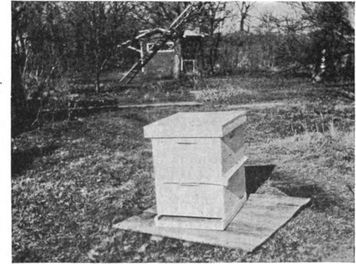 The simplest way to unite bees is to set one hive above another with a sheet of paper between the two brood nests.