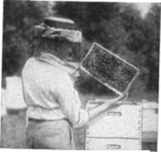 How frames are handled