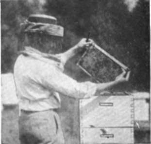 Looking at opposite side comb