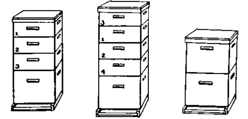 arrangement of supers on colonies