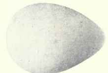White.