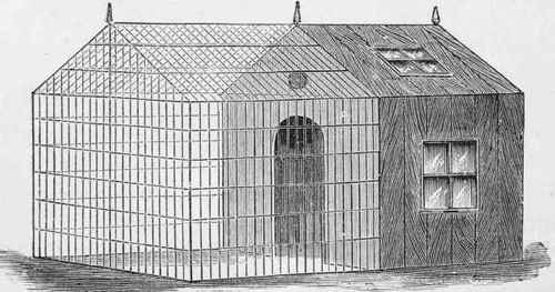 Aviary, with Room fob Moulting Show Birds
