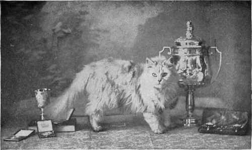 Lady Decies' Silver Champion Fulmer Zaida Landor, photo, Ealing