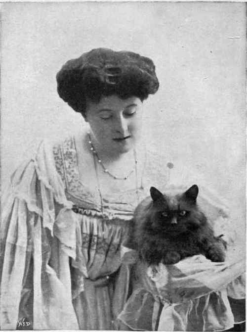 Mrs. Collingwood's Royal Bobs Charles, photo, London