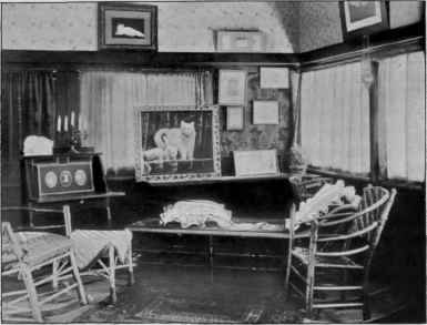 A Reception Room In A Chicago Cattery