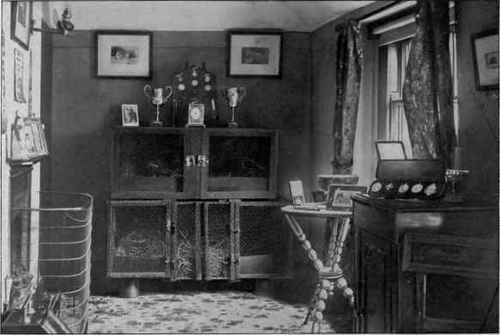 A Room In Brayfrot Cattery
