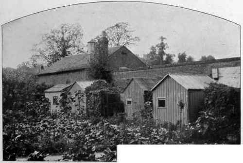 Birkdale Ruffie's Cattery