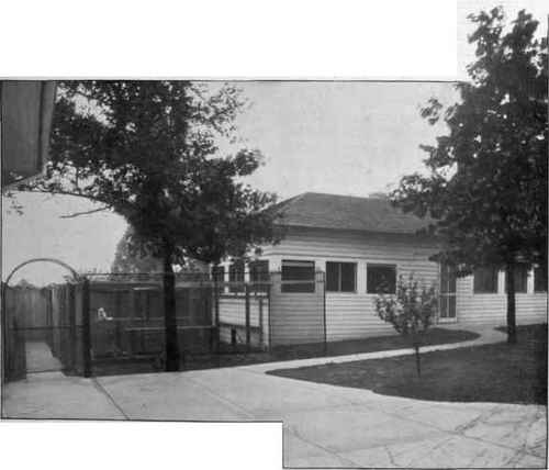 Brushwood Cattery
