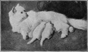 A Happy Mother