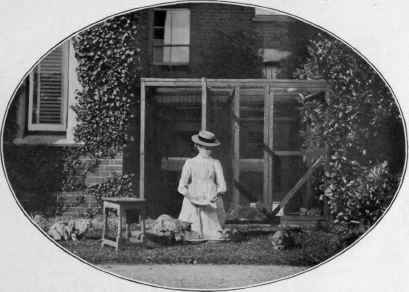 A Morning Meal At Bossington