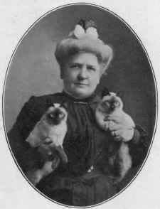 Mrs. Clinton Locke And Her Siamese Kittens Calif And Bangkok.