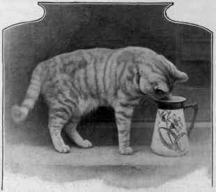 Sandy Stealing The Milk The Property of Miss Harper