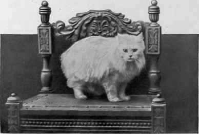 The Blessed Damozel.